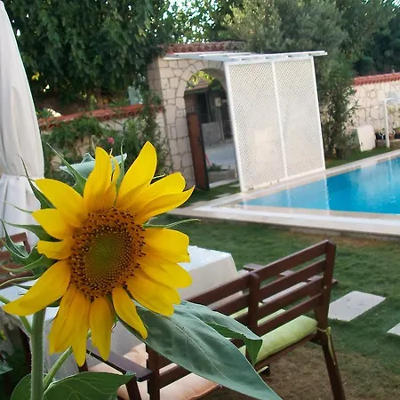 Munevver Abla Ev ألاتشاتي